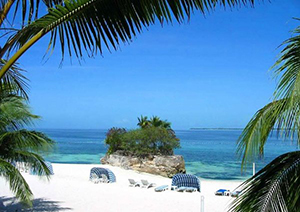 �������, ������ ������������.