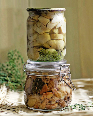 Маринованные белые грибы с укропом. Маринованные белые грибы с укропом.