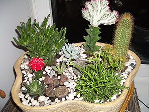 ����� �����, ��������� �� ��������� � ������������