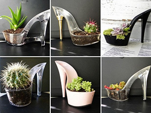 ���� ����� ������ ������, �������� ���������� � �������.