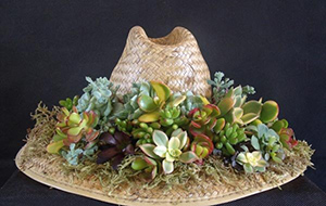 ���� ����� ������ ������, �������� ���������� � �������.