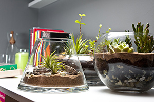 ���� ����� ������ ������, �������� ���������� � �������.