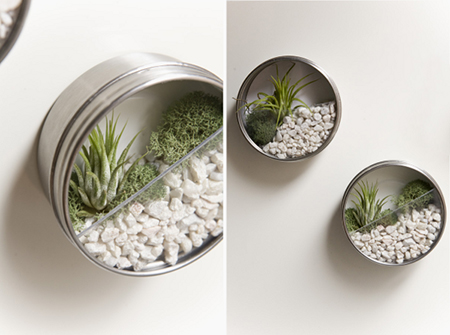 ���� ����� ������ ������, �������� ���������� � �������.