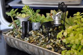 ���� ����� ������ ������, �������� ���������� � �������.