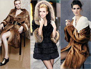 ������ �����. ���� 2013-1014.