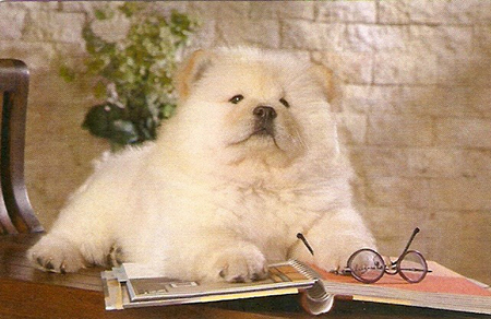 �������� ������, ���-���.