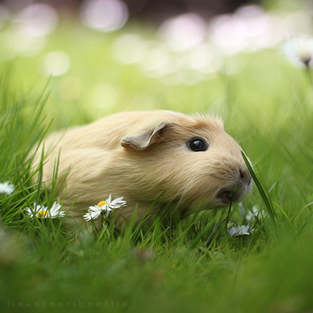 ������� � ������� �������, ���� � ���������� �����.