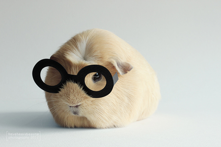 ������� � ������� �������, ���� � ���������� �����.