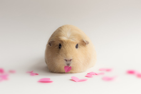 ������� � ������� �������, ���� � ���������� �����.