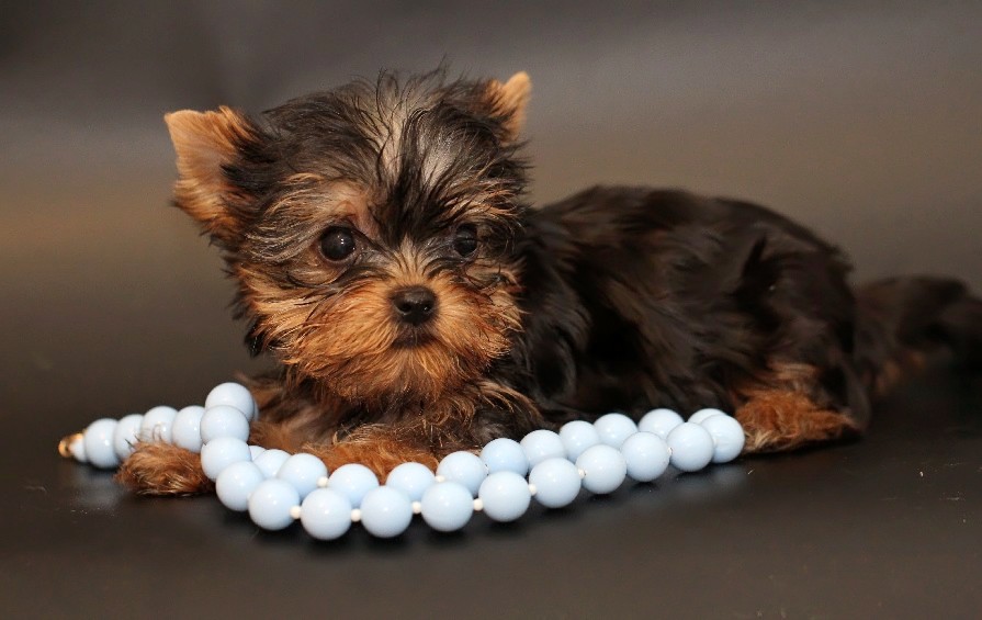 �������� � ����������� ������