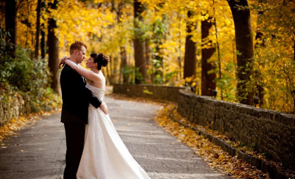 ������� �������, ���� � �����������